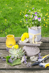 Pansy flowers in grey cans