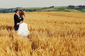 A wedding couple hugs somewhere on the golden field