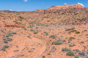 Dry and arid scenery of Glen Canyon National Recreation  Area