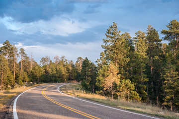 Fototapeta premium Highway in the forest of central Wyoming