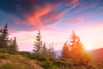 Fototapety na wymiar - Fototapeta24.pl