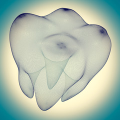 image of the human tooth