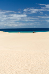 Fototapeta na wymiar Corralejo Beach on Fuerteventura, Canary Islands. Spain