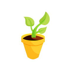 Green plant in a yellow pot icon, cartoon style