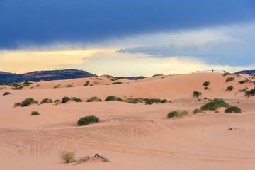 Coral Pink Sand Dunes State Park in Utah at  sunset