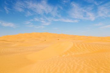 Fototapeta na wymiar in oman old desert sand dune