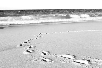 in oman coastline sea ocean   gulf rock and beach relax near sky