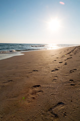 in oman arabic sea   sandy beach