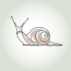 Snail in minimal line style vector