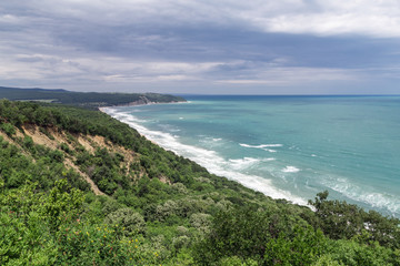 View from high to the beautiful beach and forest