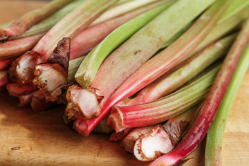 Fresh organic rhubarb