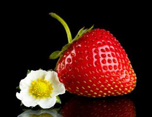 Single whole strawberry with flower on black