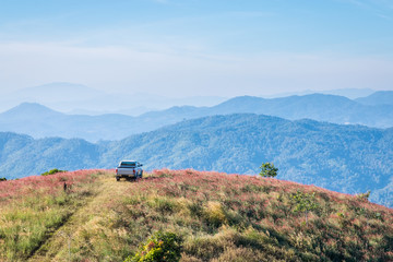 Fototapeta premium Cars parked on a hill overlooking a beautiful mountain.