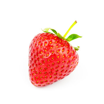 One ripe, organic strawberry isolated on white background.