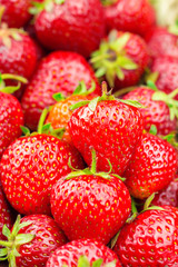 Group of ripe, organic strawberry background, selective focus.