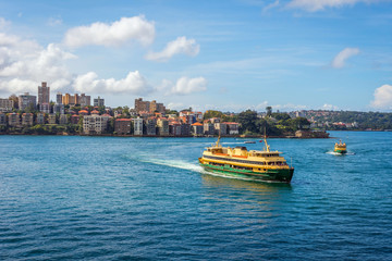 Sydney harbour with ferries - 113434608