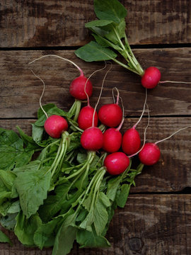 fresh radish flat lay, top view