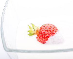 strawberry the cream of