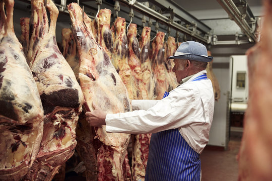 Butcher Working In Cold Store With Carcasses Of Meat
