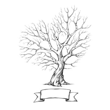 Baum mit herzförmiger Krone