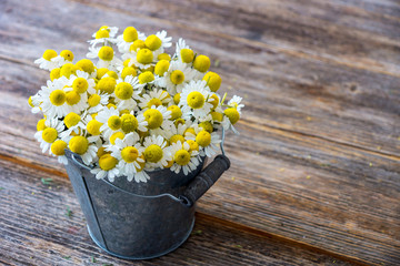 Chamomile flowers on wooden background