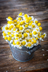 Chamomile flowers on wooden background