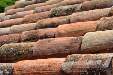 Close-up of the French terracotta tiled roof