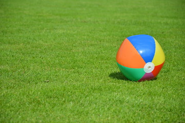 Wasserball auf der Wiese