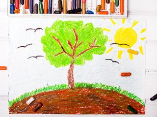 Colorful drawing: Tree on the hill