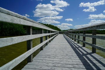 Water Boardwalk into the Sky