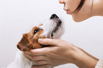 Young girl holding and kissing his dog Jack Russell Terrier. Positive human emotions, facial expression, feelings