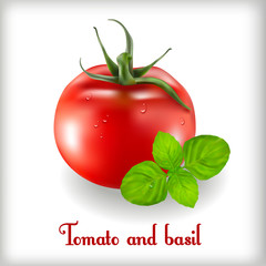 tomatoes-02