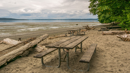Fototapeta na wymiar Felled trees in the sand on the beach. Wood on the beach. Picnic tables by the sea