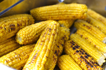 Fresh corncobs cooked at barbecue grill