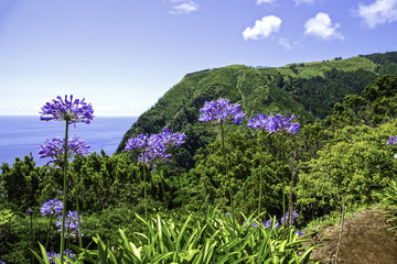 The Azores coastline