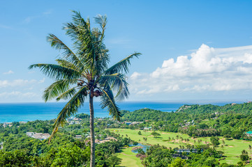 Fototapeta na wymiar A view of Boracay island with species