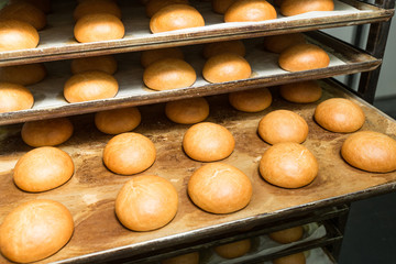 Just baked hot small sweet buns