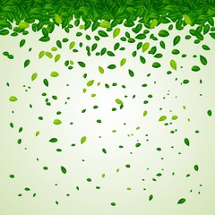 Backdrop with green leaves