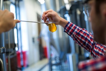 Brewer testing beer