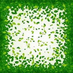 Backdrop with green leaves