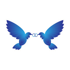 Two Doves With Rings