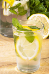 classic lemonade with fresh mint