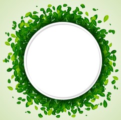 Backdrop with green leaves