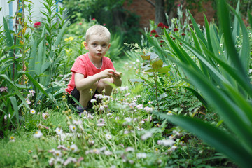 boy, child, little child, kid, garden, flowers