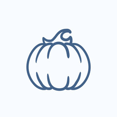 Pumpkin sketch icon.