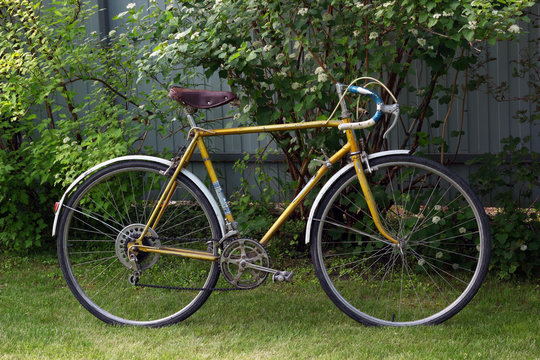 Old vintage bike. Retro road bicycle in garden.
