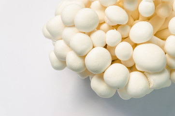 Close up white Shimeji Mushroom on white background