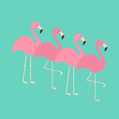 Pink flamingo set. Exotic tropical bird. Zoo animal collection. Cute cartoon character. Decoration element. Flat design. Blue background. Isolated.