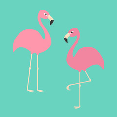 Two pink flamingo set. Exotic tropical bird. Zoo animal collection. Cute cartoon character. Decoration element. Flat design. Blue background. Isolated.