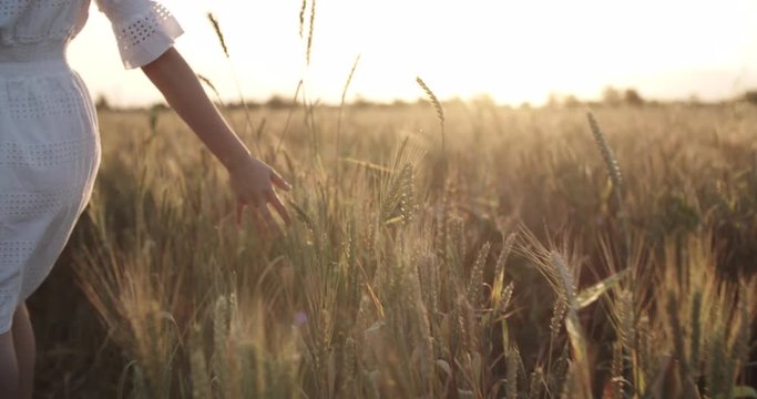 Beautiful girl running on sunlit wheat field. Slow motion 240 fps. close up.Sun lens flare. Freedom concept. Happy woman having fun outdoors in a wheat field on sunset or sunrise.Harvest